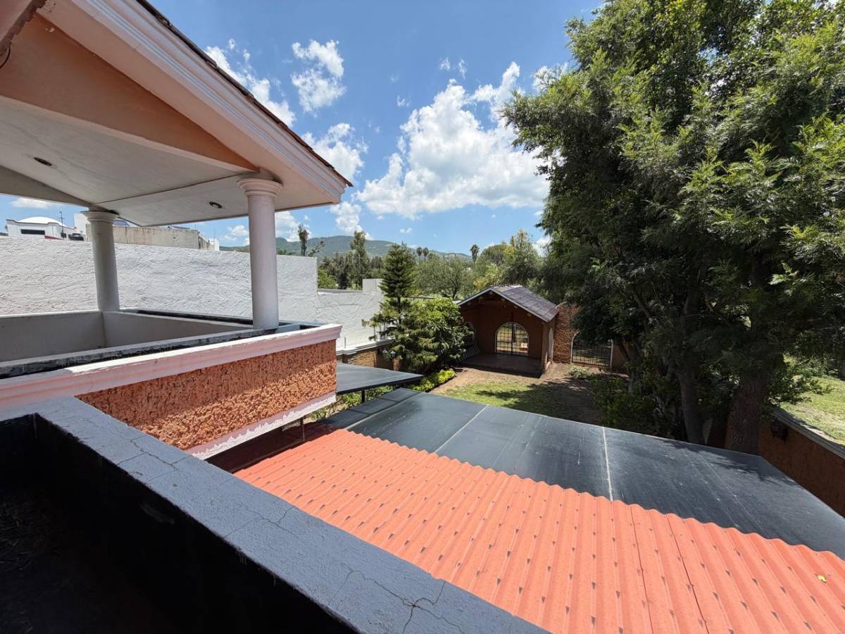Terraza con vista