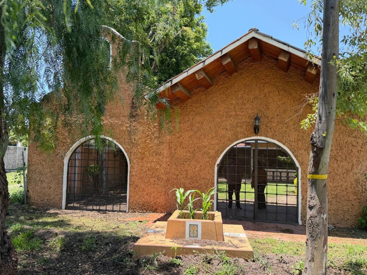 Jardín trasero