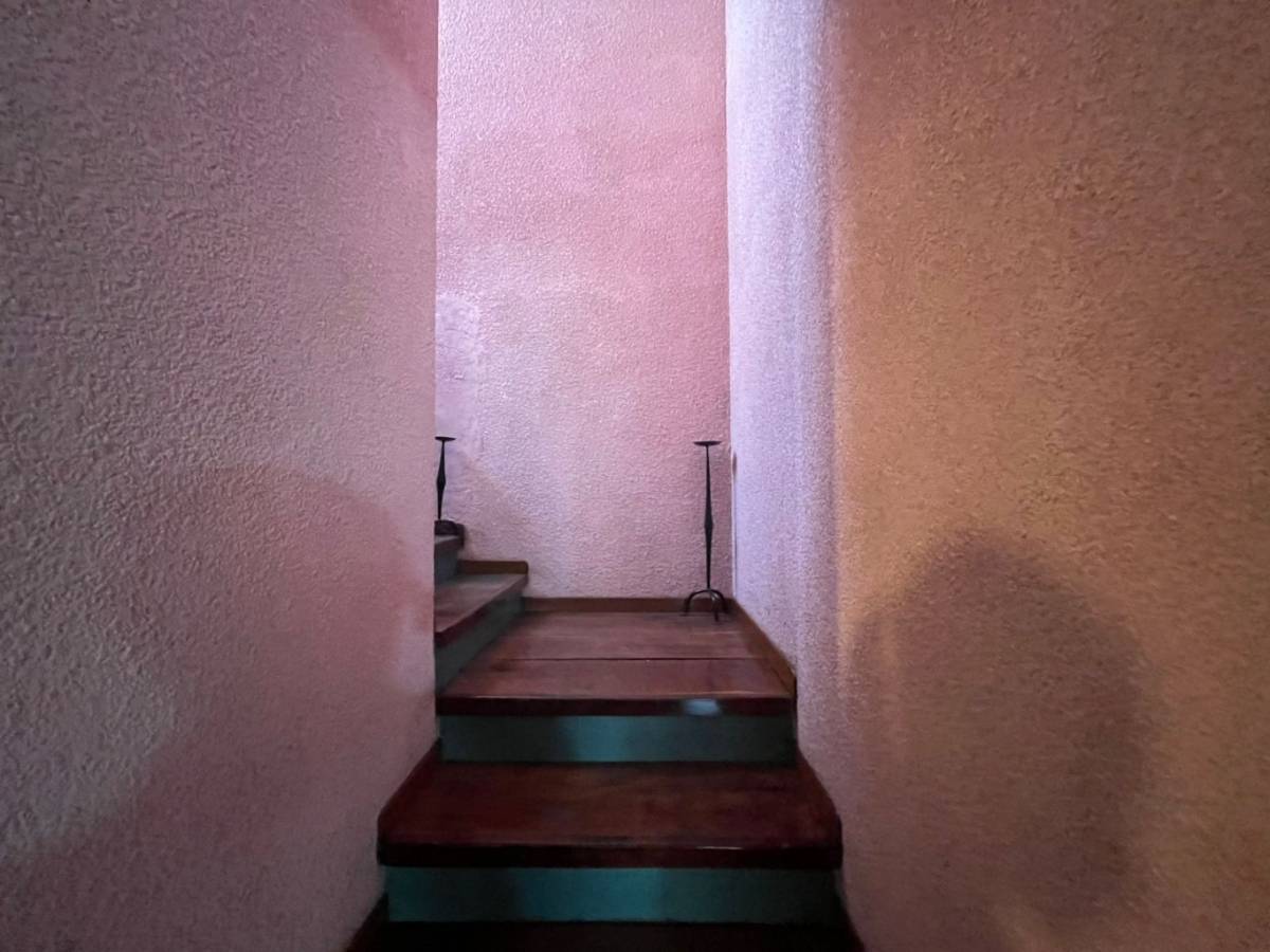 Vista de la casa