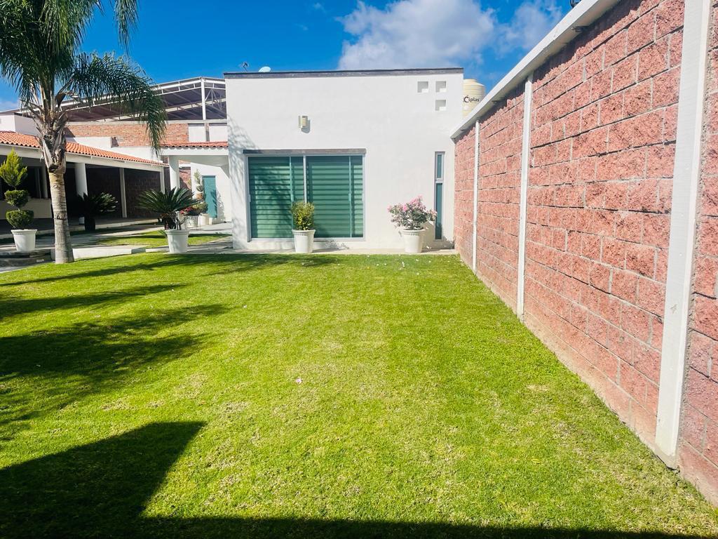 Jardín amplio con palmeras