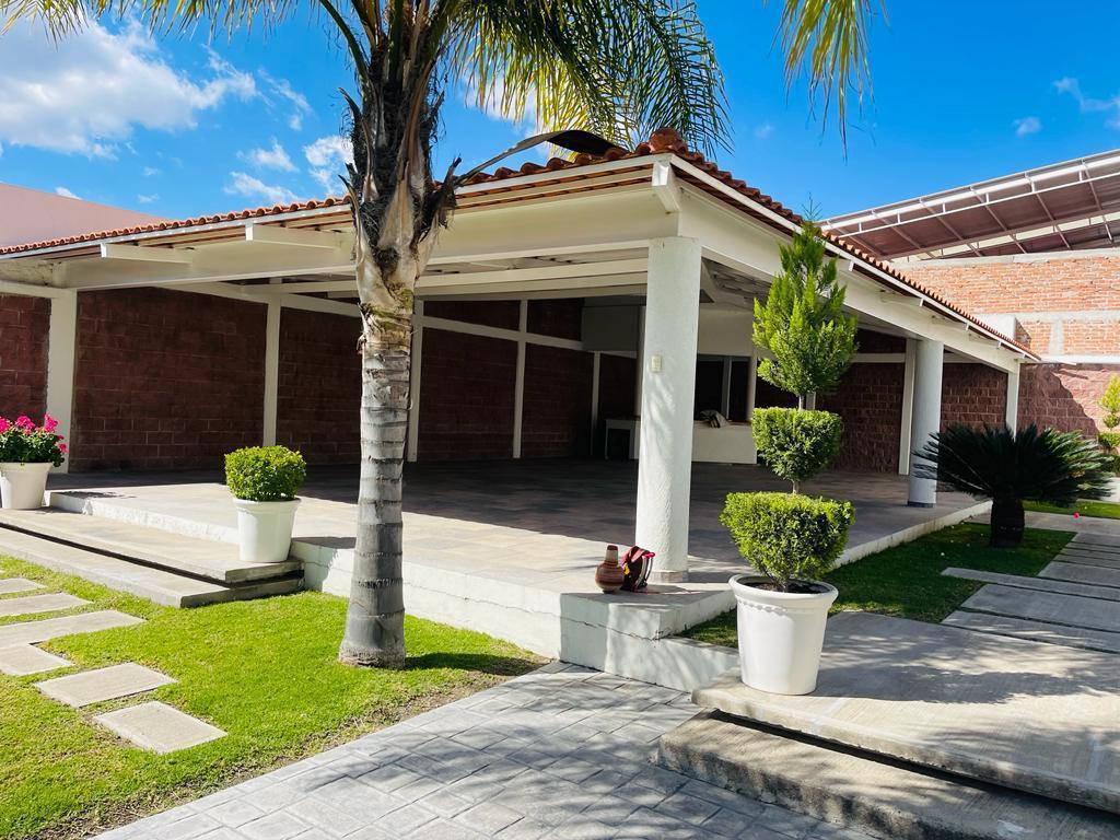 Jardín con palmeras
