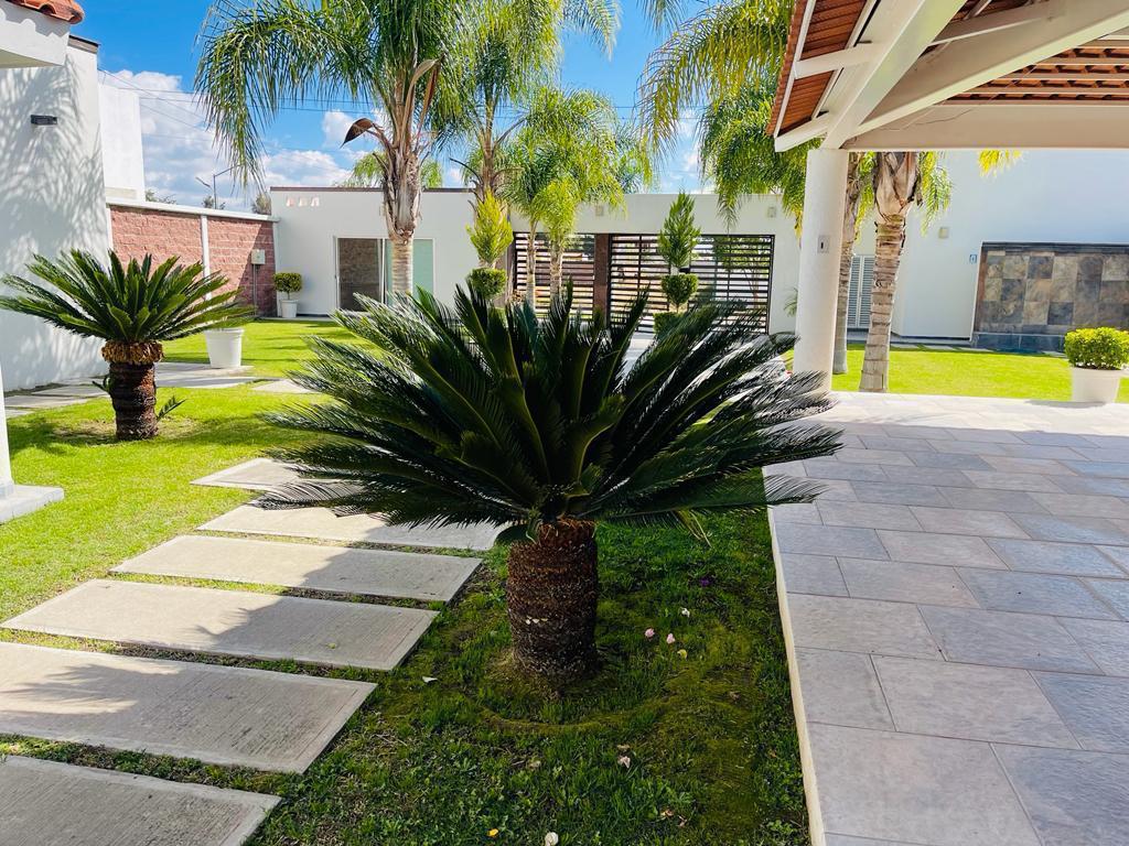 Barra bajo la palapa